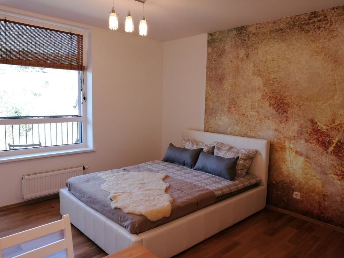 Апартаменты Linkmenų apartamentai Вильнюс-13