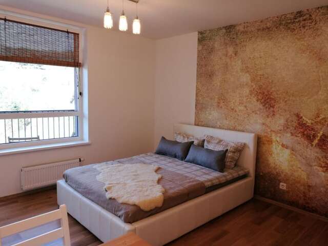 Апартаменты Linkmenų apartamentai Вильнюс-12