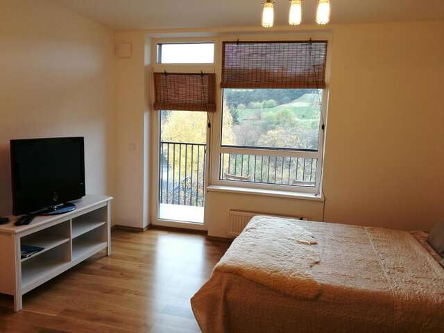 Апартаменты Linkmenų apartamentai Вильнюс-10
